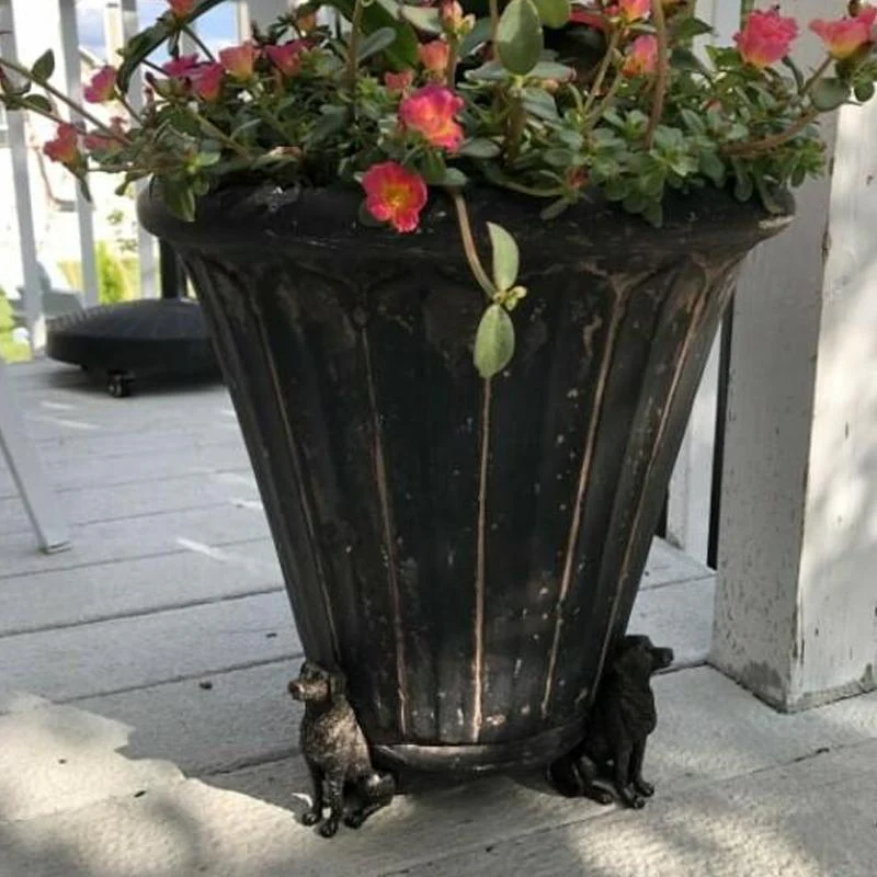 Vorschaubild 2